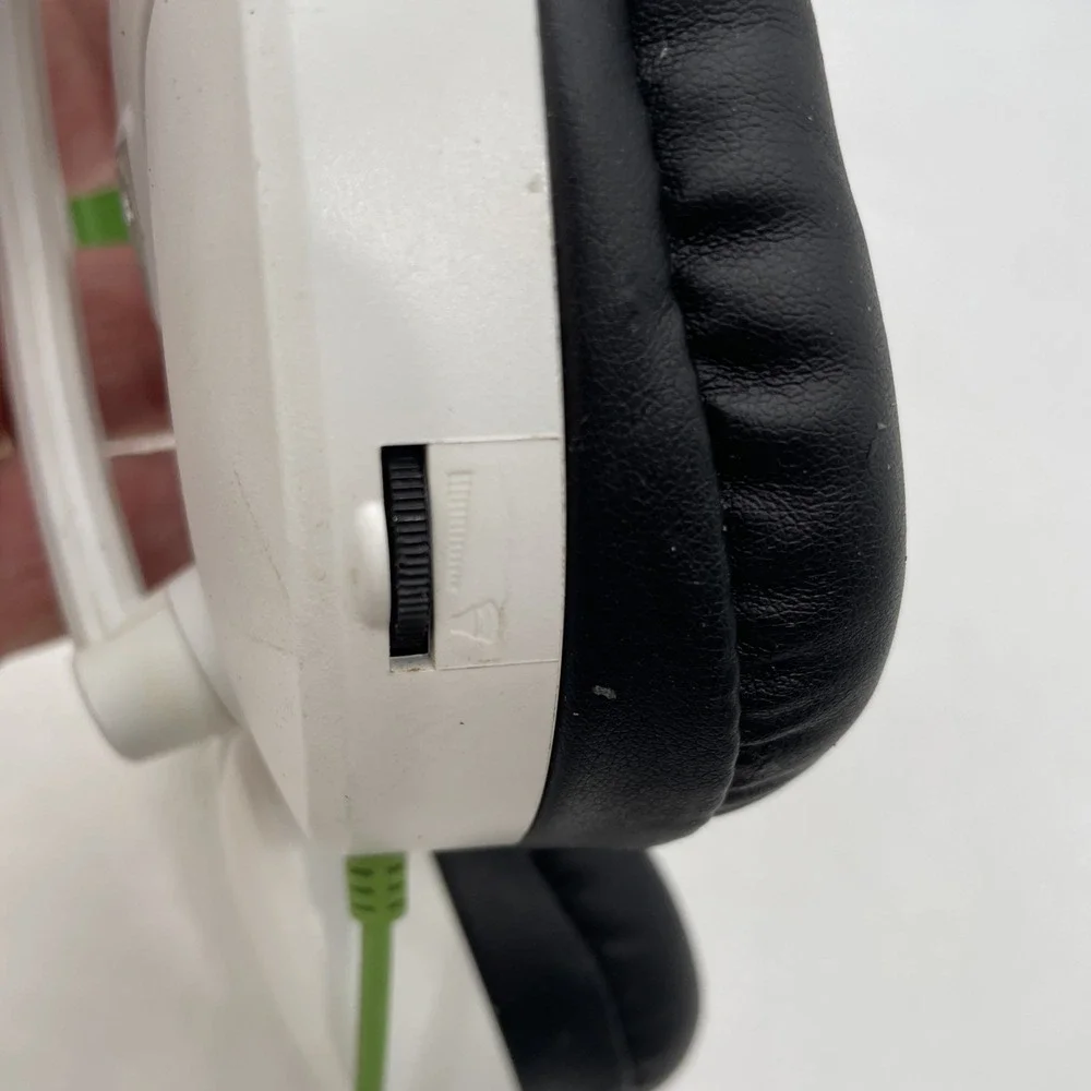 Turtle Beach turtle beach